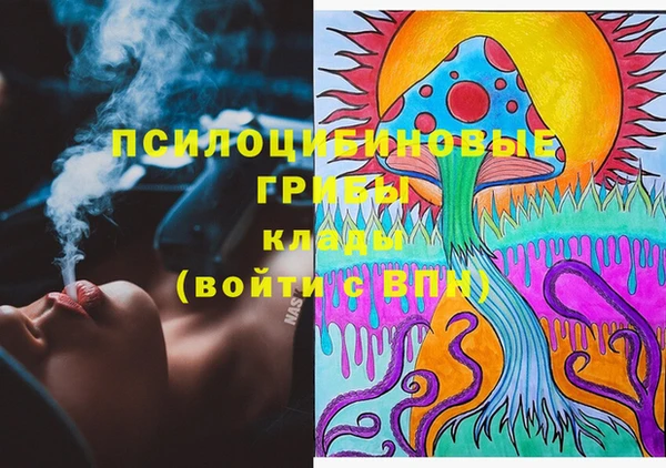 ГАЛЛЮЦИНОГЕННЫЕ ГРИБЫ Болхов