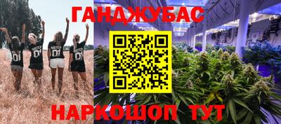 гидра Волгодонск