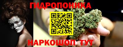 гидра Волгодонск