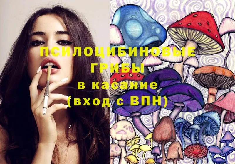 Псилоцибиновые грибы Magic Shrooms  Лангепас 