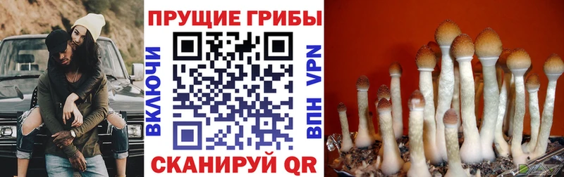Галлюциногенные грибы прущие грибы  MEGA сайт  Лангепас 