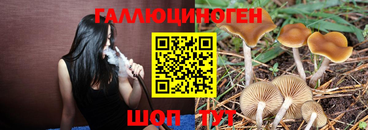 Псилоцибиновые грибы Magic Shrooms Лангепас